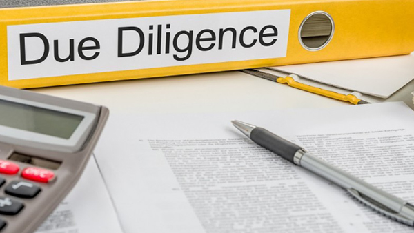 Financial Due Diligence