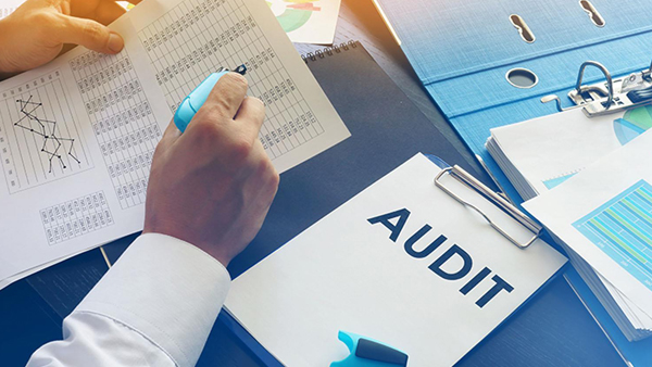 Internal Audit & Management Audit