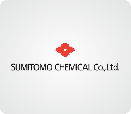key partners