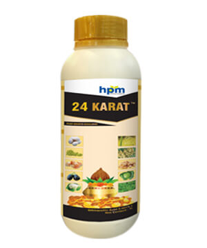 hifit