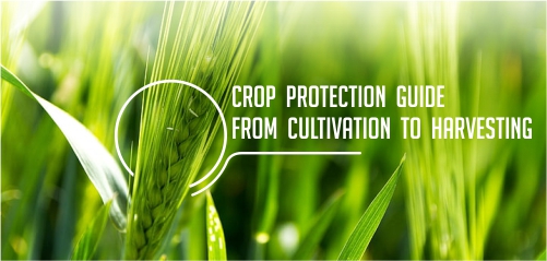 crop protection banner