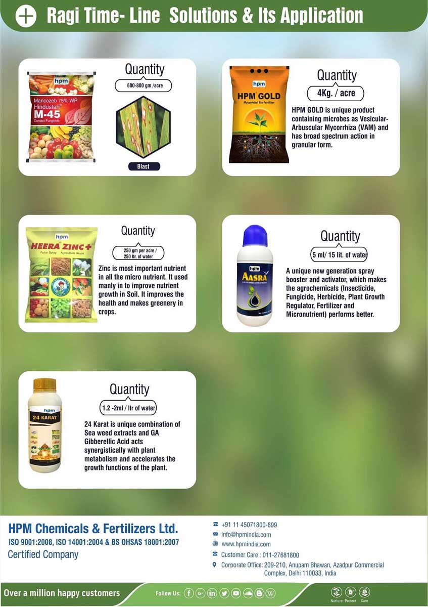ragi