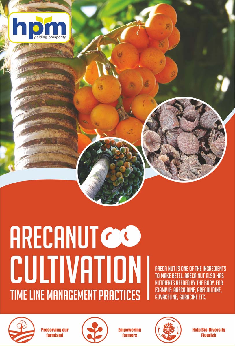arecanut