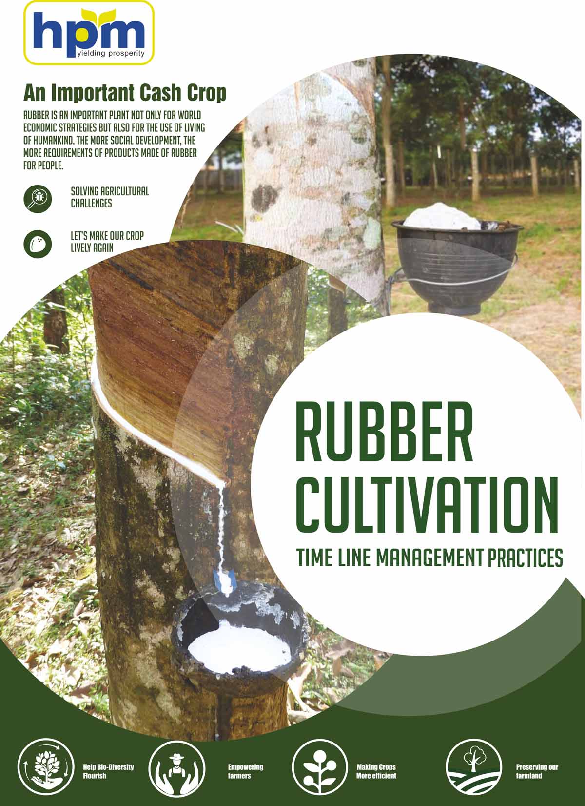 rubber