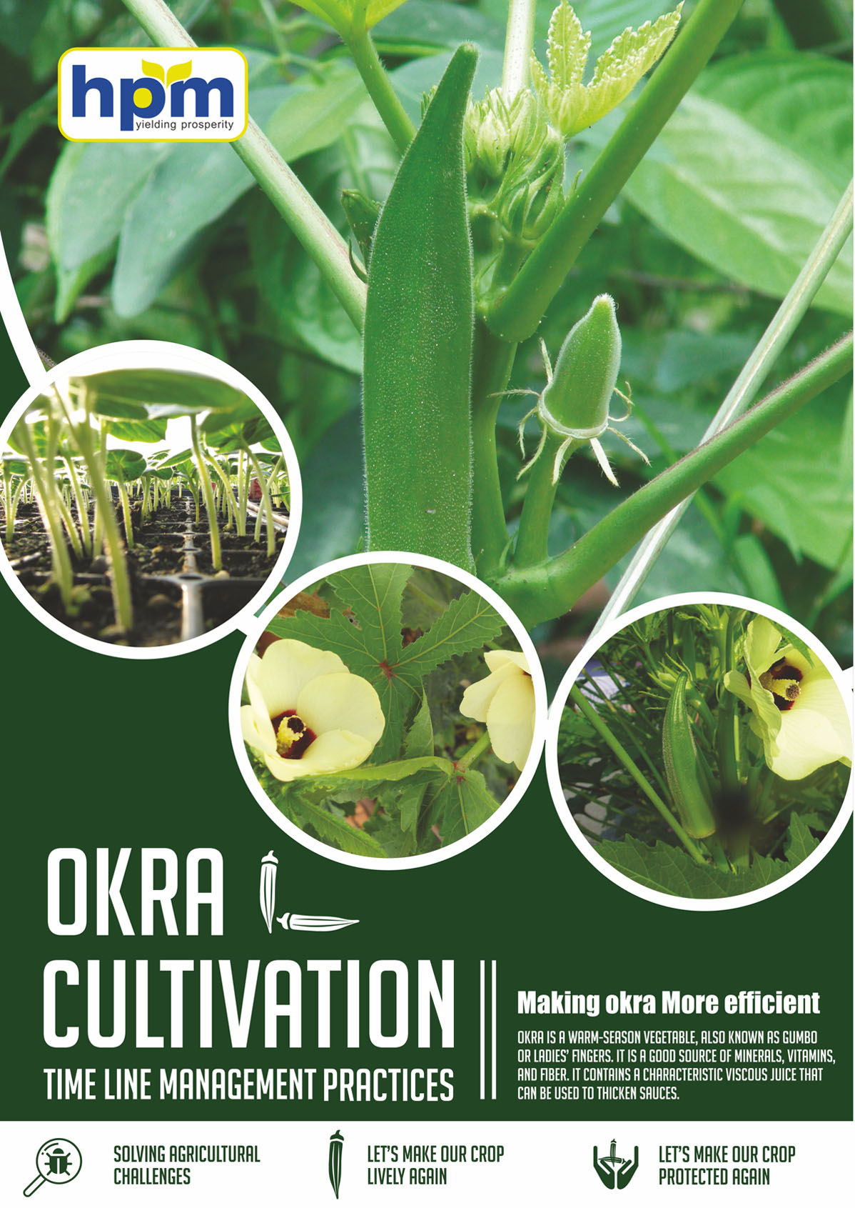 okra