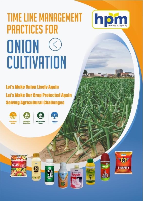 onion