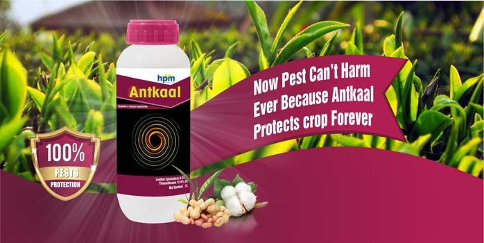 ANTKAAL