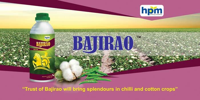 Bajirao