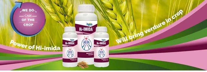 HI IMIDA