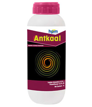 antkaal