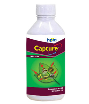 capture