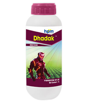 DHADAK