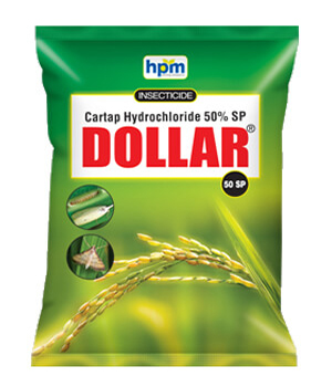DOLLAR 50 SP