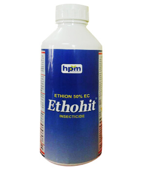 ETHOHIT