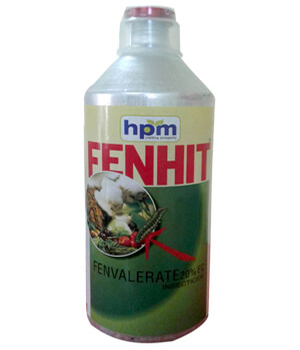 FENHIT