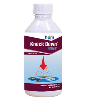 KNOCK DOWN SUPER