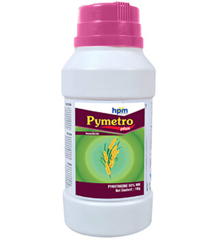 PYMETRO PLUS