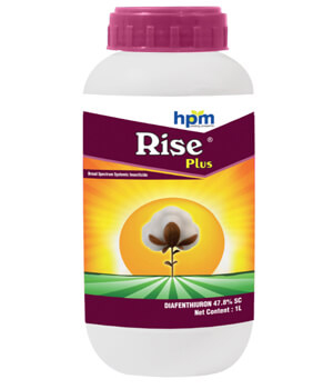 RISE PLUS