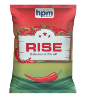 RISE