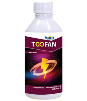 TOOFAN
