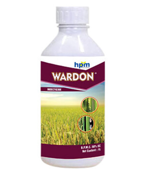 WARDON