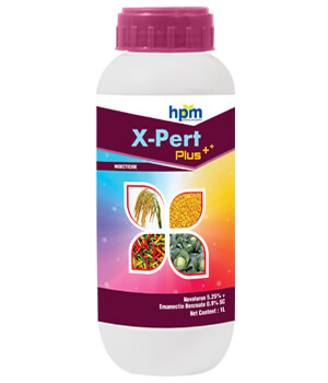 X-PERT PLUS