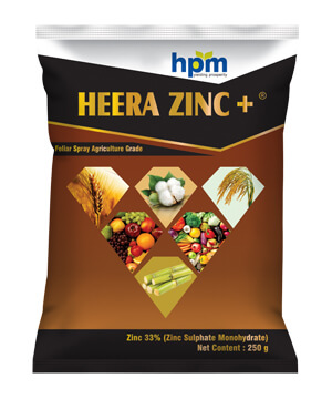 hifit