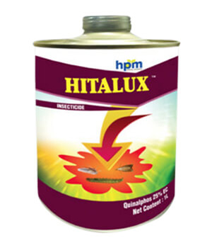 hifit