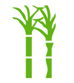 CASH CROPS