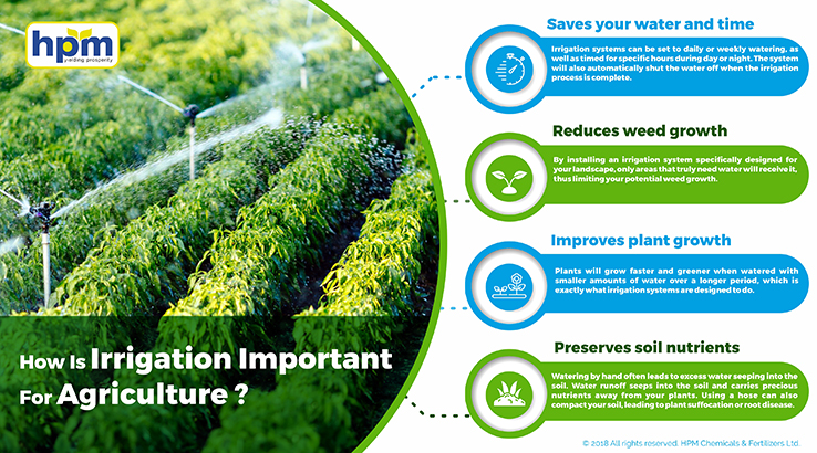 irrigation