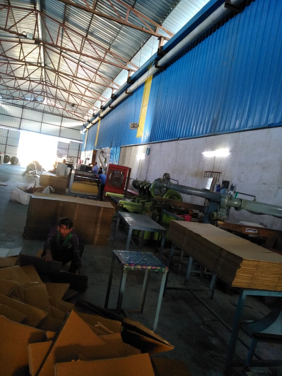 C box plant