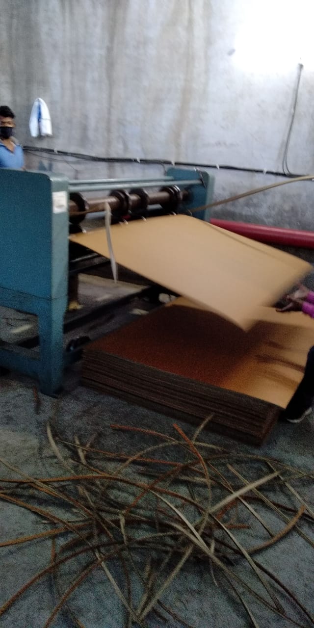 C box plant