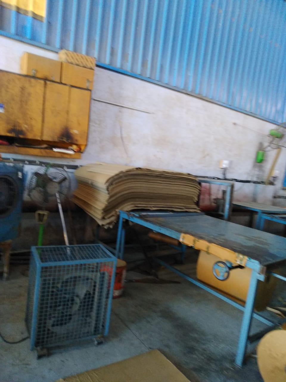 C box plant