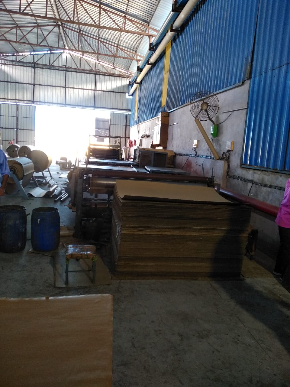 C box plant