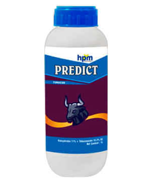 hifit