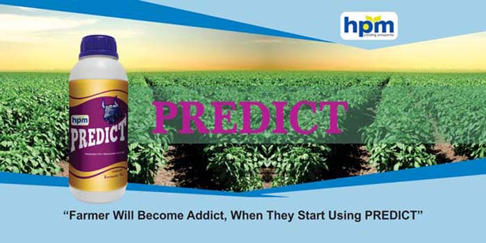 hifit
