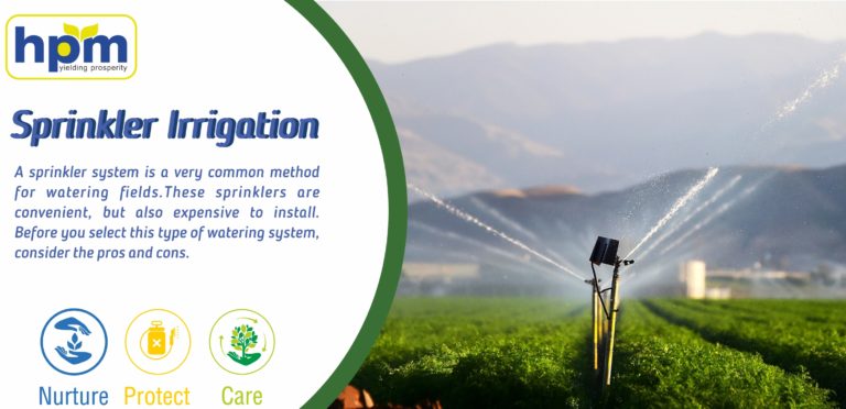 irrigation