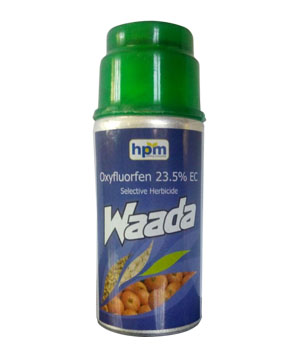 hifit